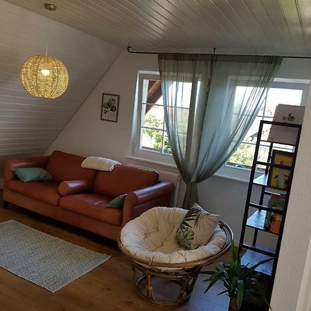Apartmán Schoene, Helle Fewo Fuer 4 Personen Ettenheim Exteriér fotografie